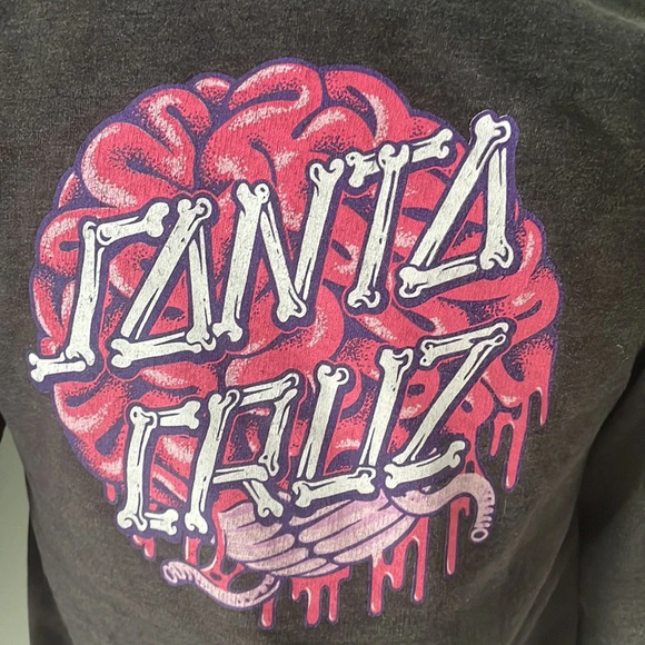 Santa Cruz skateboard destination hoodie sweatshirt size medium - Picture 4 of 8